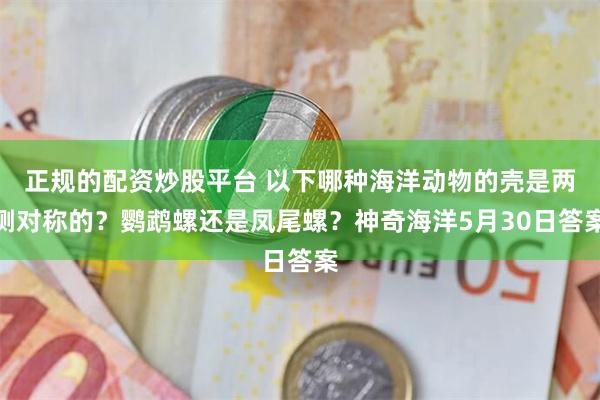 正规的配资炒股平台 以下哪种海洋动物的壳是两侧对称的？鹦鹉螺还是凤尾螺？神奇海洋5月30日答案