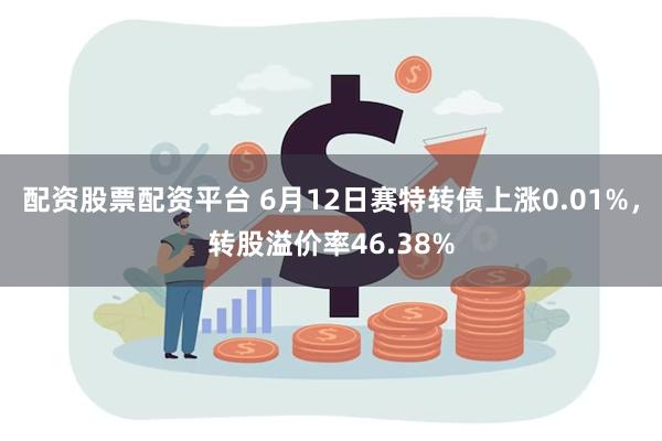 配资股票配资平台 6月12日赛特转债上涨0.01%，转股溢价率46.38%