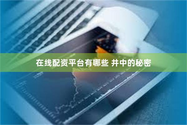 在线配资平台有哪些 井中的秘密