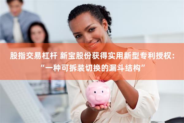 股指交易杠杆 新宝股份获得实用新型专利授权：“一种可拆装切换的漏斗结构”