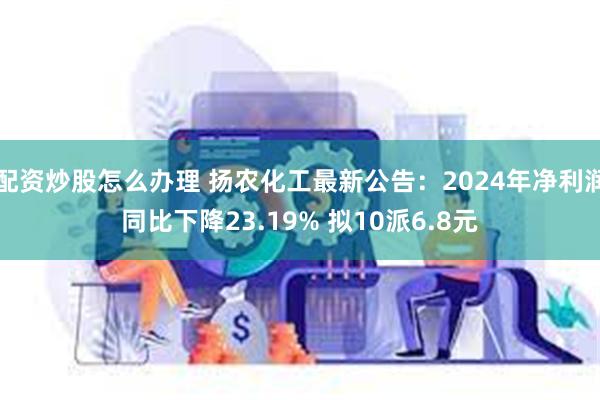 配资炒股怎么办理 扬农化工最新公告：2024年净利润同比下降23.19% 拟10派6.8元