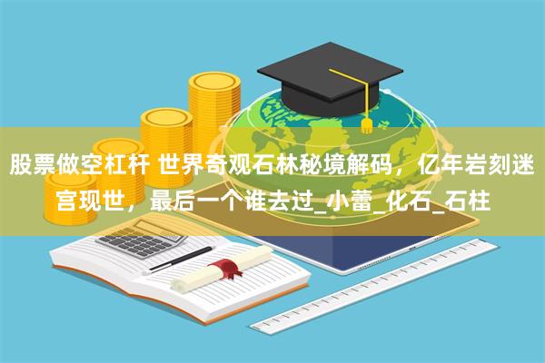 股票做空杠杆 世界奇观石林秘境解码，亿年岩刻迷宫现世，最后一个谁去过_小蕾_化石_石柱