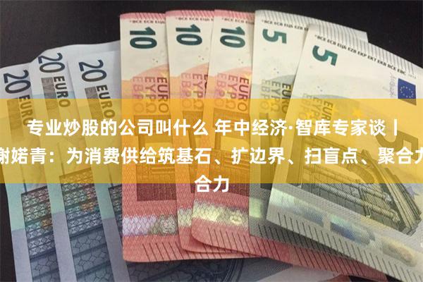 专业炒股的公司叫什么 年中经济·智库专家谈丨谢婼青：为消费供给筑基石、扩边界、扫盲点、聚合力