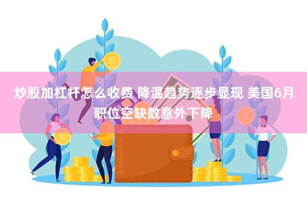 炒股加杠杆怎么收费 降温趋势逐步显现 美国6月职位空缺数意外下降