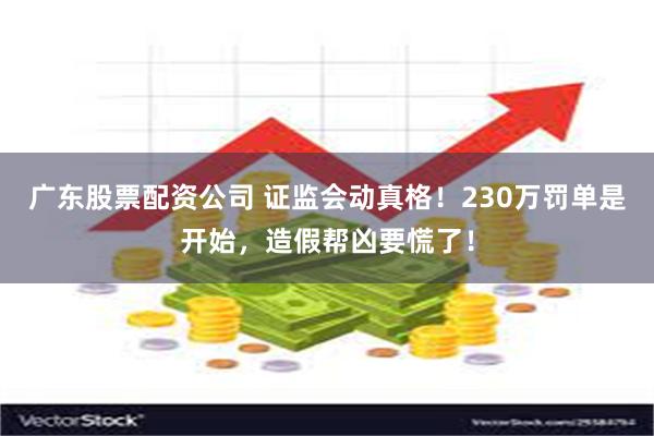 广东股票配资公司 证监会动真格！230万罚单是开始，造假帮凶要慌了！