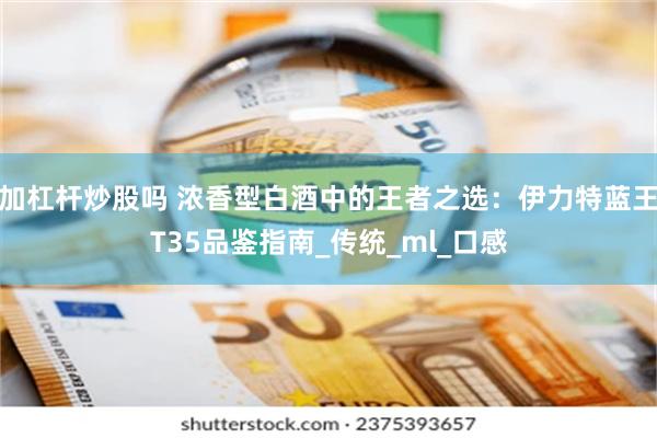 加杠杆炒股吗 浓香型白酒中的王者之选：伊力特蓝王T35品鉴指南_传统_ml_口感