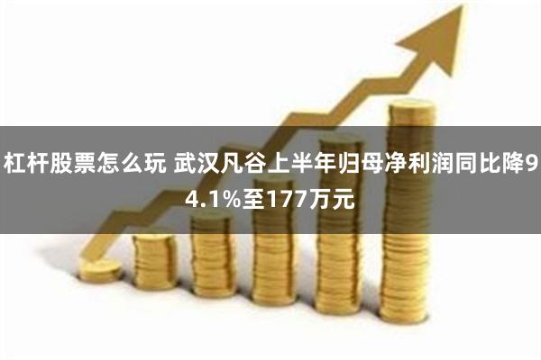 杠杆股票怎么玩 武汉凡谷上半年归母净利润同比降94.1%至177万元