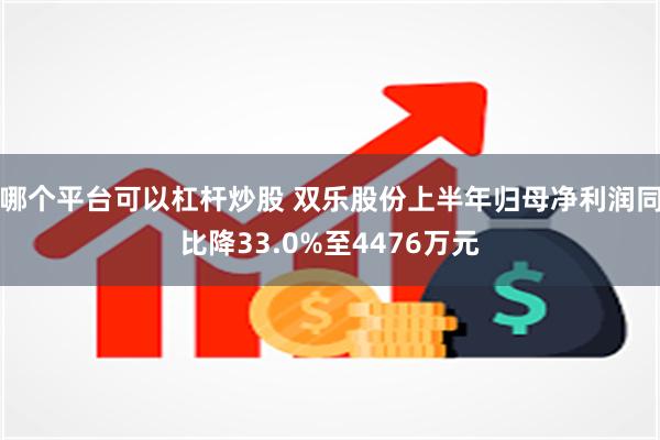 哪个平台可以杠杆炒股 双乐股份上半年归母净利润同比降33.0%至4476万元