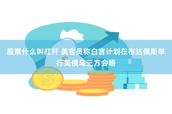 股票什么叫杠杆 美官员称白宫计划在布达佩斯举行美俄乌三方会晤